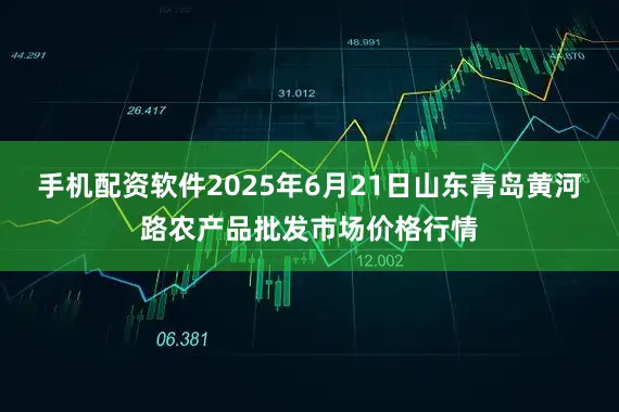 手机配资软件2025年6月21日山东青岛黄河路农产品批发市场价格行情