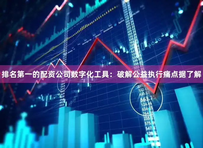 排名第一的配资公司　　数字化工具：破解公益执行痛点　　据了解