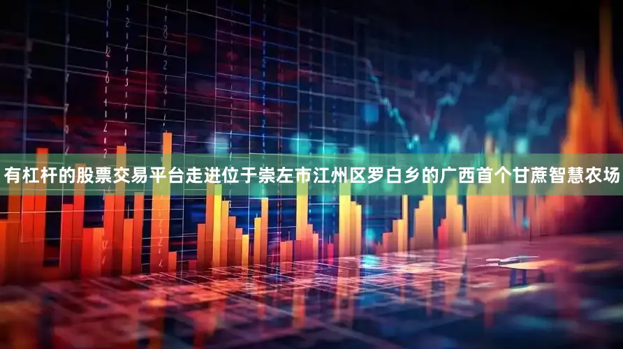 有杠杆的股票交易平台走进位于崇左市江州区罗白乡的广西首个甘蔗智慧农场