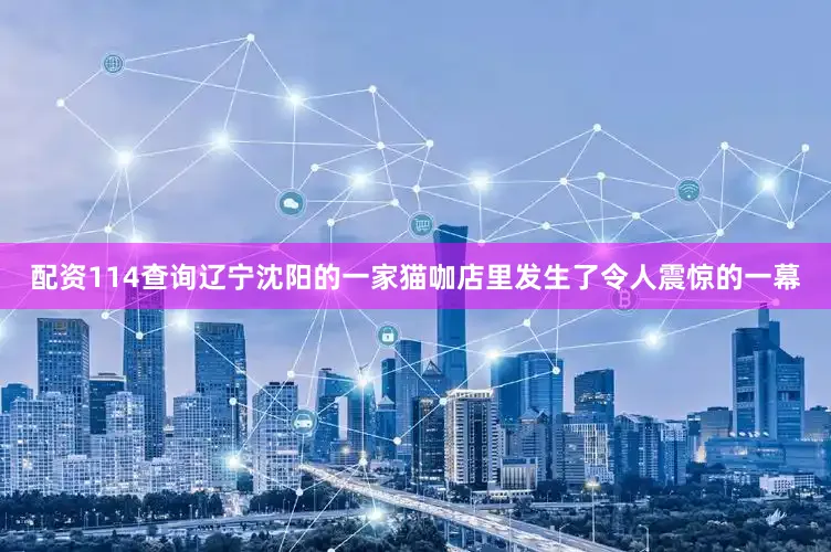 配资114查询辽宁沈阳的一家猫咖店里发生了令人震惊的一幕