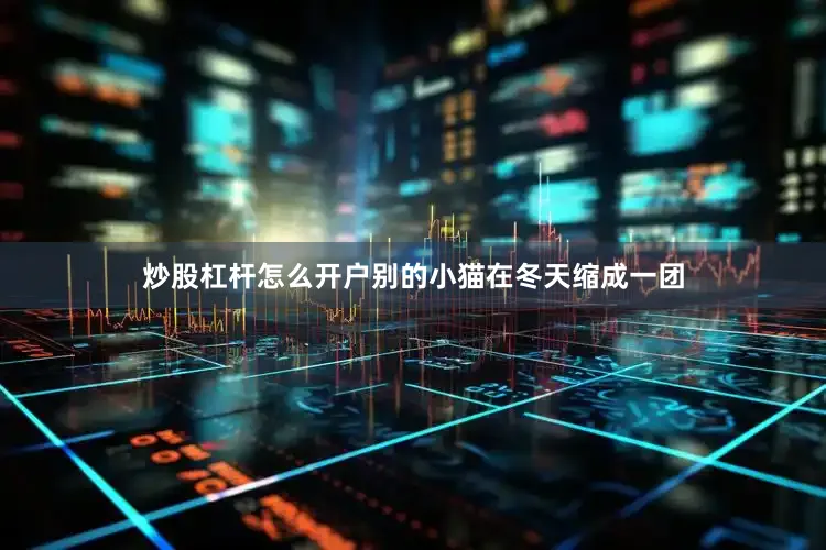 炒股杠杆怎么开户别的小猫在冬天缩成一团