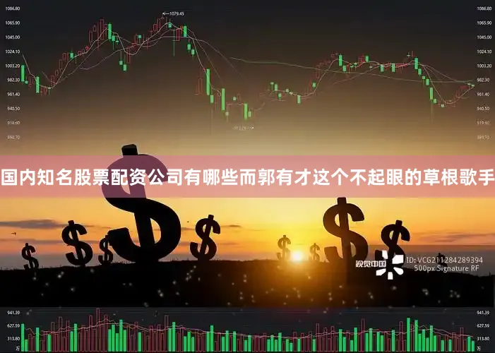 国内知名股票配资公司有哪些而郭有才这个不起眼的草根歌手