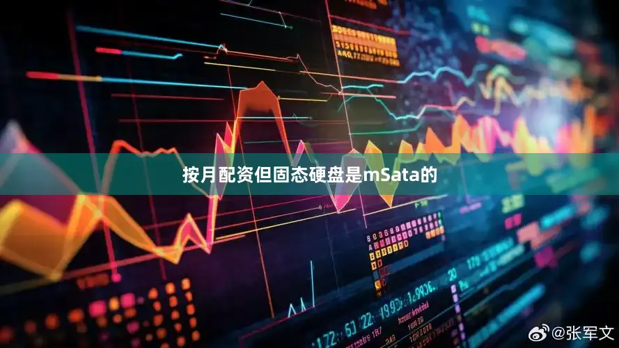 按月配资但固态硬盘是mSata的